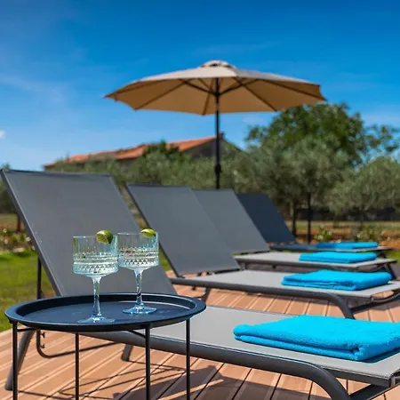 Artsi Villa Svetvinčenat